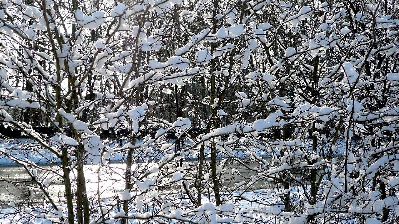 Stadtwaldwinter 12.jpg